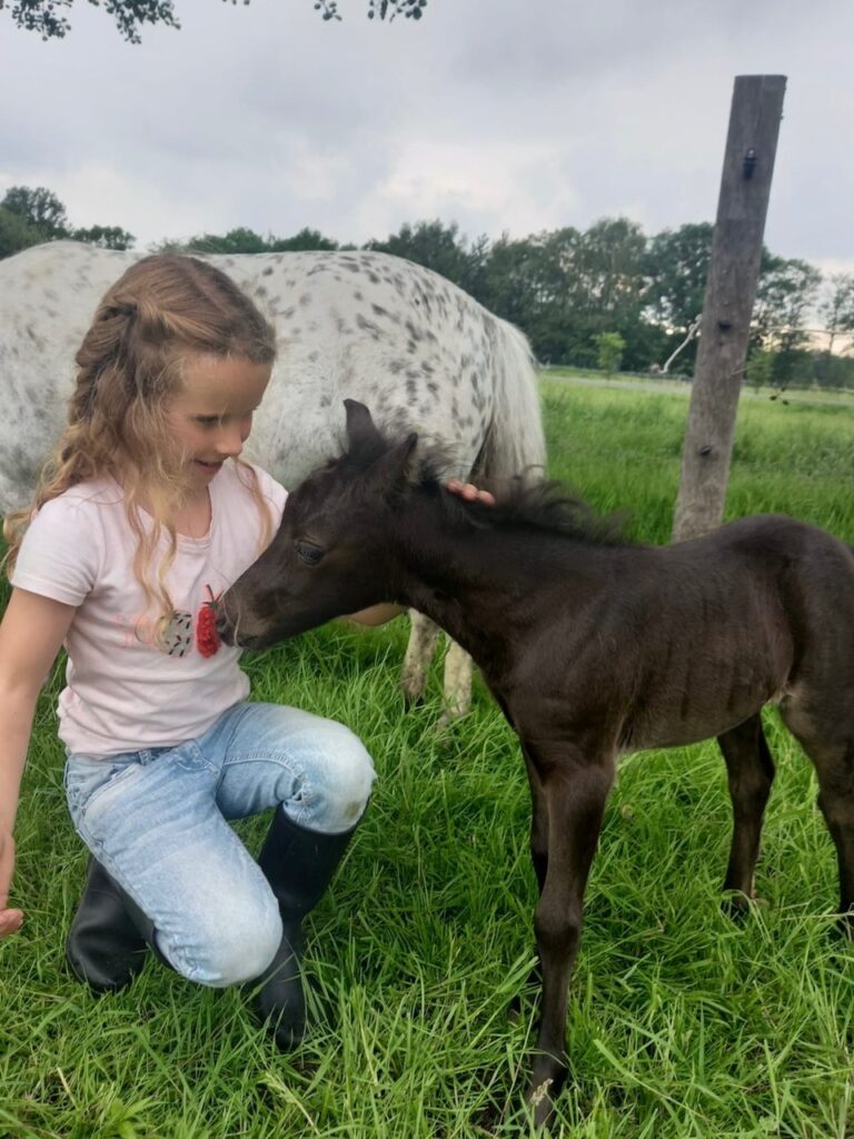 Falabella Julia Resto Cazador