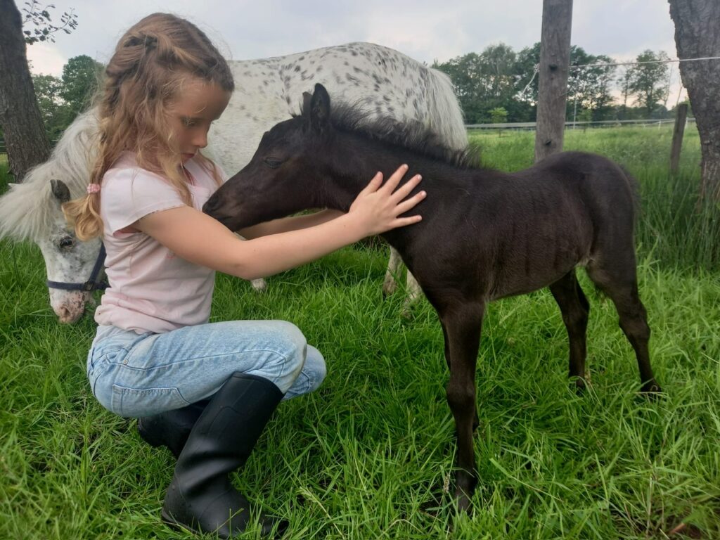 Falabella Julia Resto Cazador